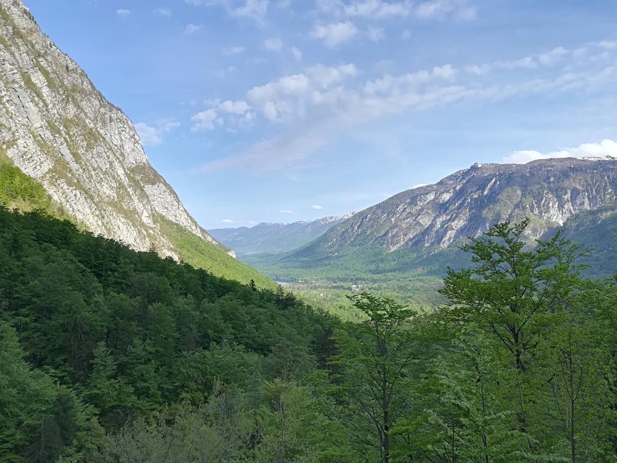 Apartments & Rooms Stare Bohinj Exterior foto